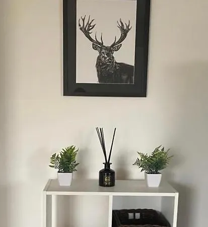 Appartement Stunning Double Bed Flat With Private Balcony & Free Parking à Londres Extérieur photo